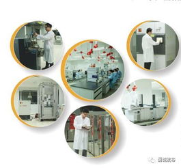 為金發科技研發團隊點贊 亞太第一、全球第二的環?？萍枷蠕h