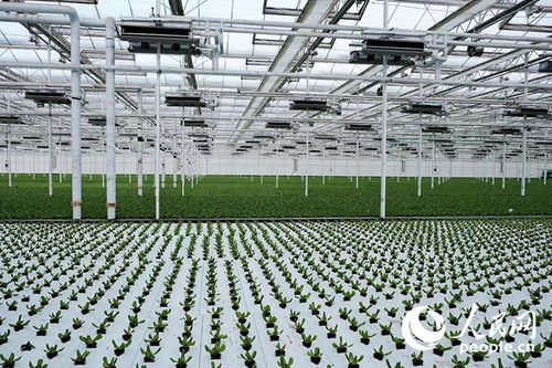 西部大開發新篇章 以高水平開放引領環保科技領域的技術創新